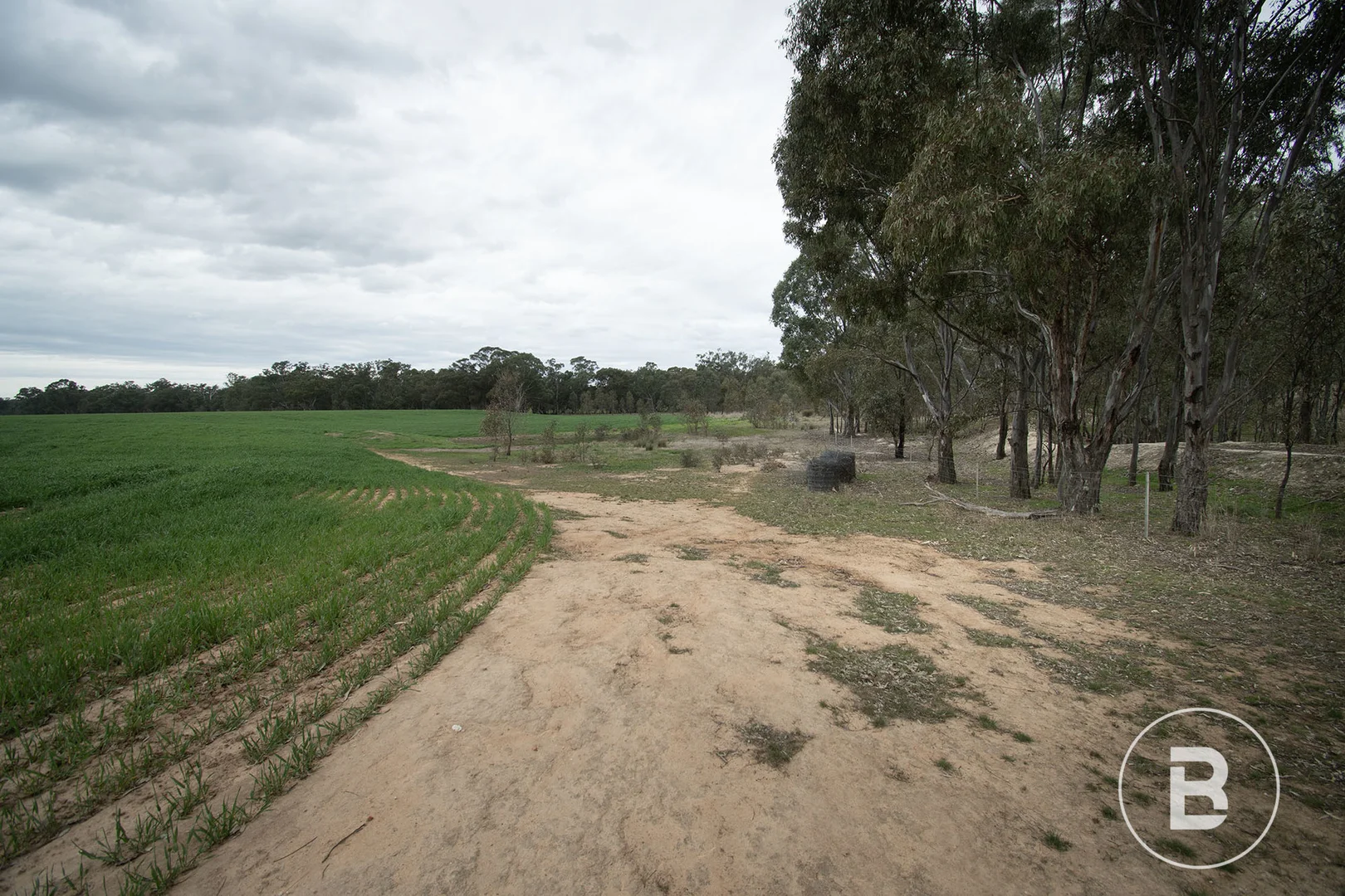 Additional image 19 of 174 Timor Bromley Road, Timor VIC 3465