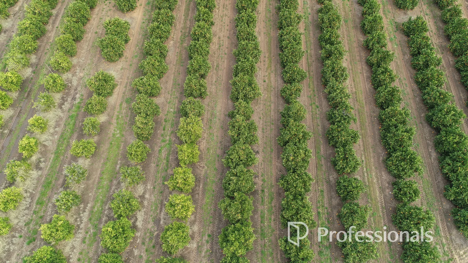 Additional image 30 of 45 Regent Drive, Colignan VIC 3494