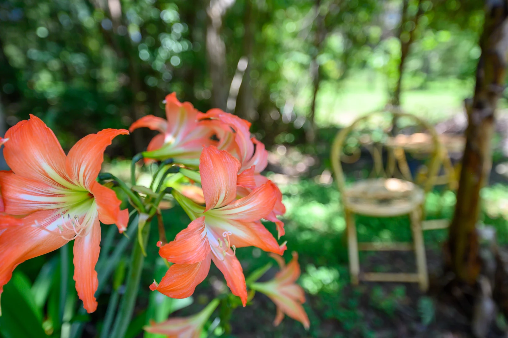 Additional image 31 of 38 Cooloon Street, Kunghur NSW 2484