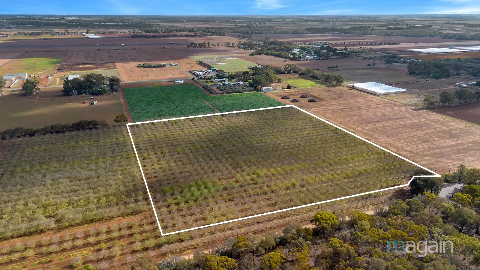 76 Harris Road, Hillier SA 5116