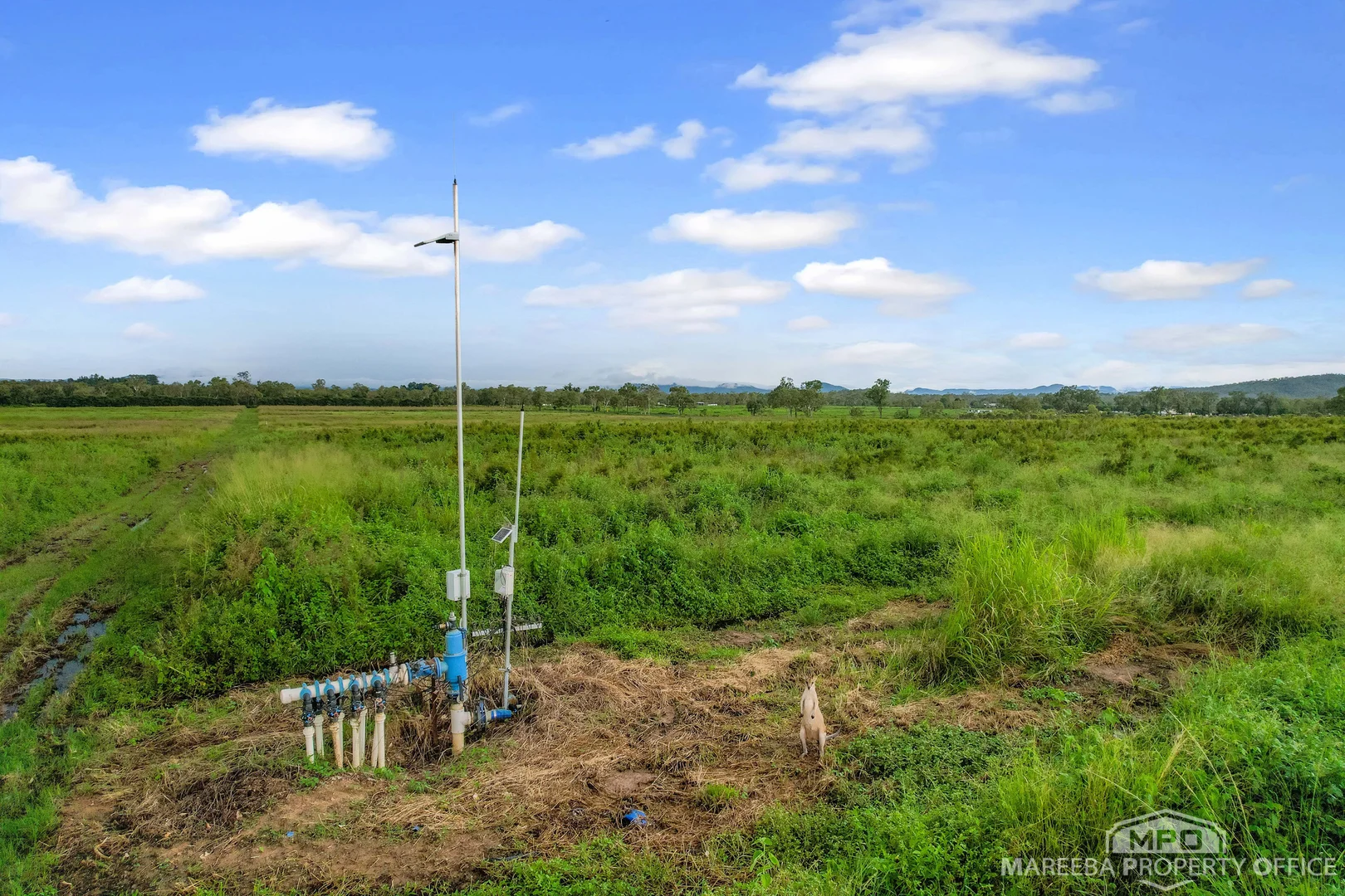 Additional image 7 of Lot 113 Leadingham Creek Road, Dimbulah QLD 4872