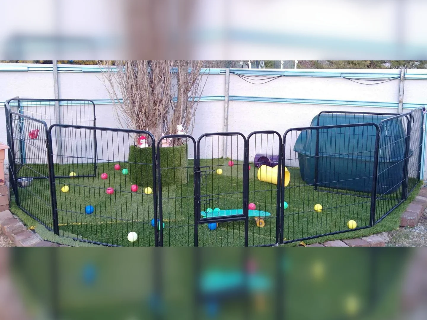 Additional image 26 of 9 Short Street, Deepwater NSW 2371