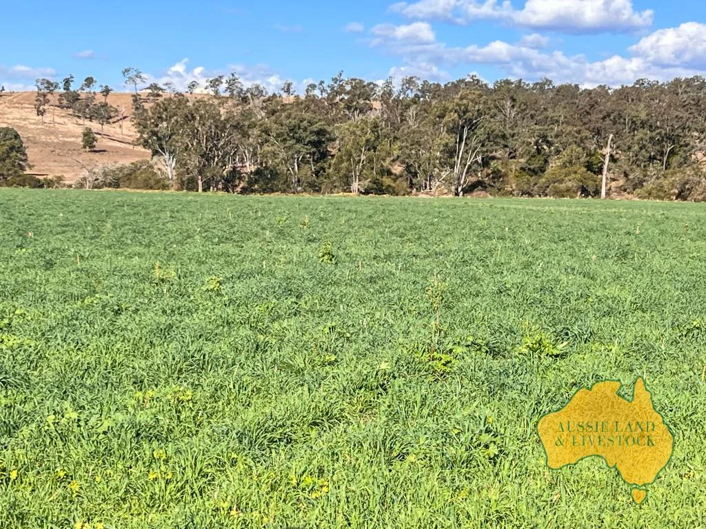 Additional image 5 of 250 Heights Road, Nanango QLD 4615