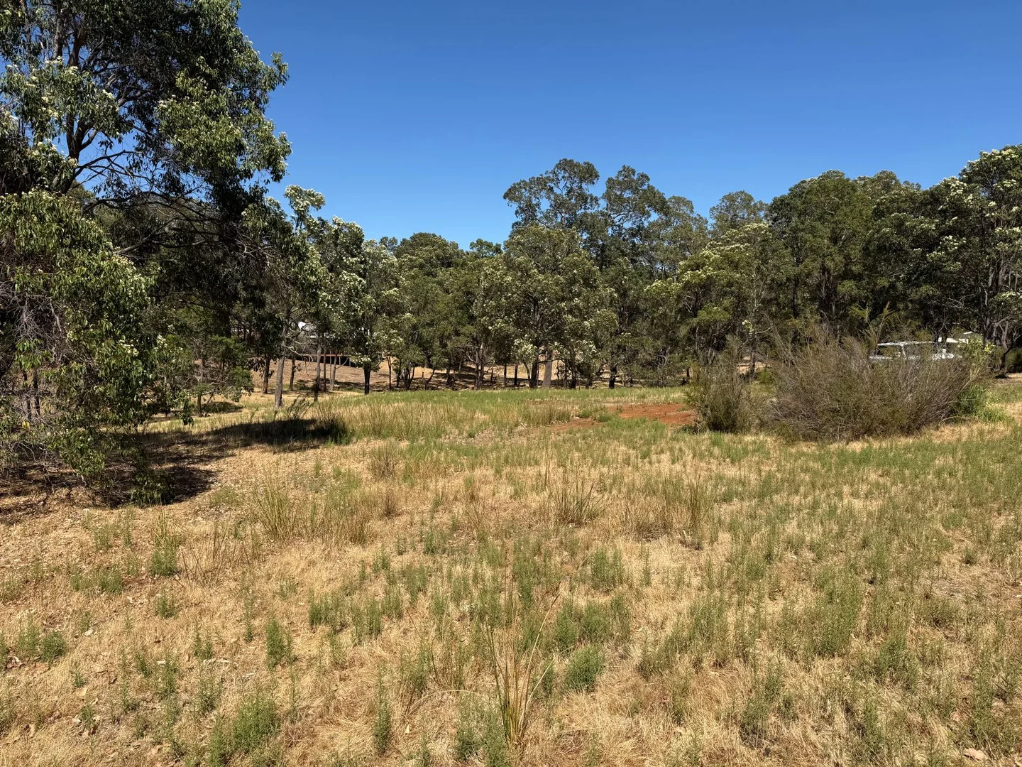 Additional image 4 of 59 Lyons Road, Waroona WA 6215
