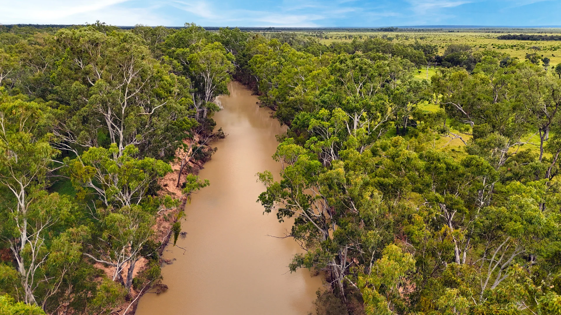 Additional image 8 of "Wavering Downs" 1467 Pasha Rd, Pasha QLD 4721