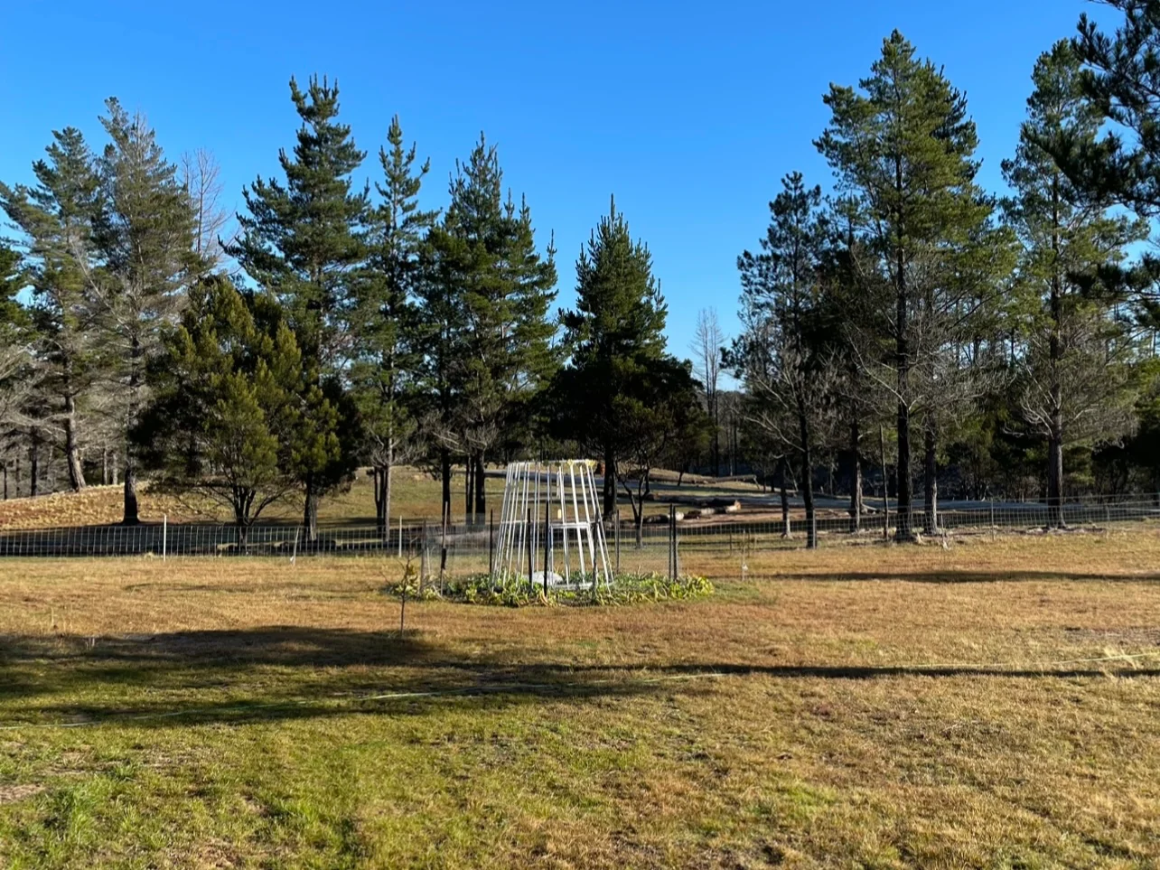 Additional image 23 of Tomboye NSW 2622