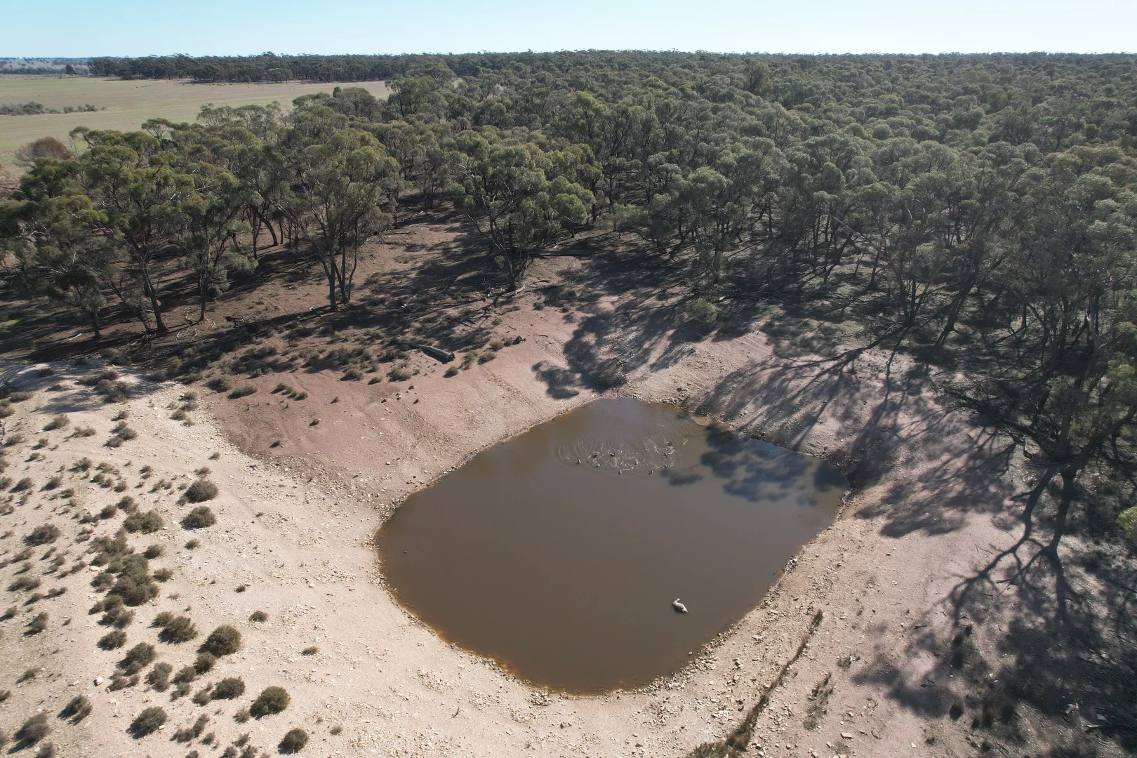 Additional image 9 of 1826 Tallimba Road, West Wyalong NSW 2671