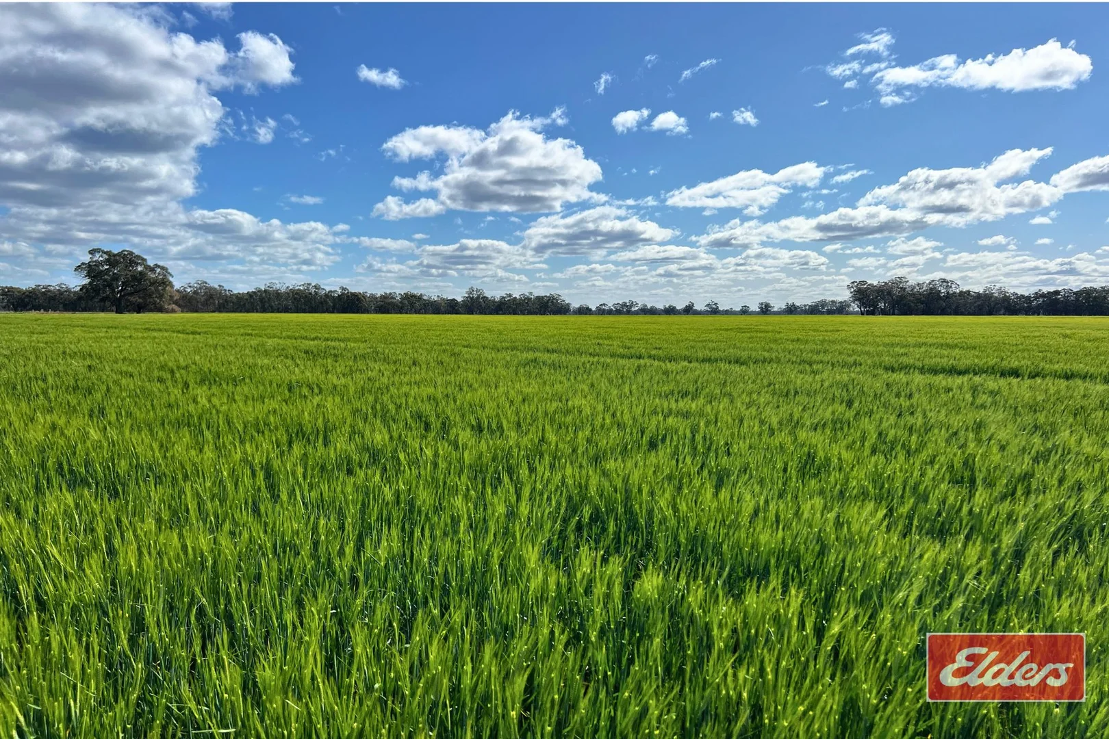 Additional image 7 of Perricoota, Bunnaloo NSW 2731