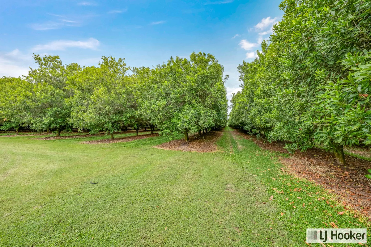 Additional image 19 of 214 Thomasens Road, Alloway QLD 4670