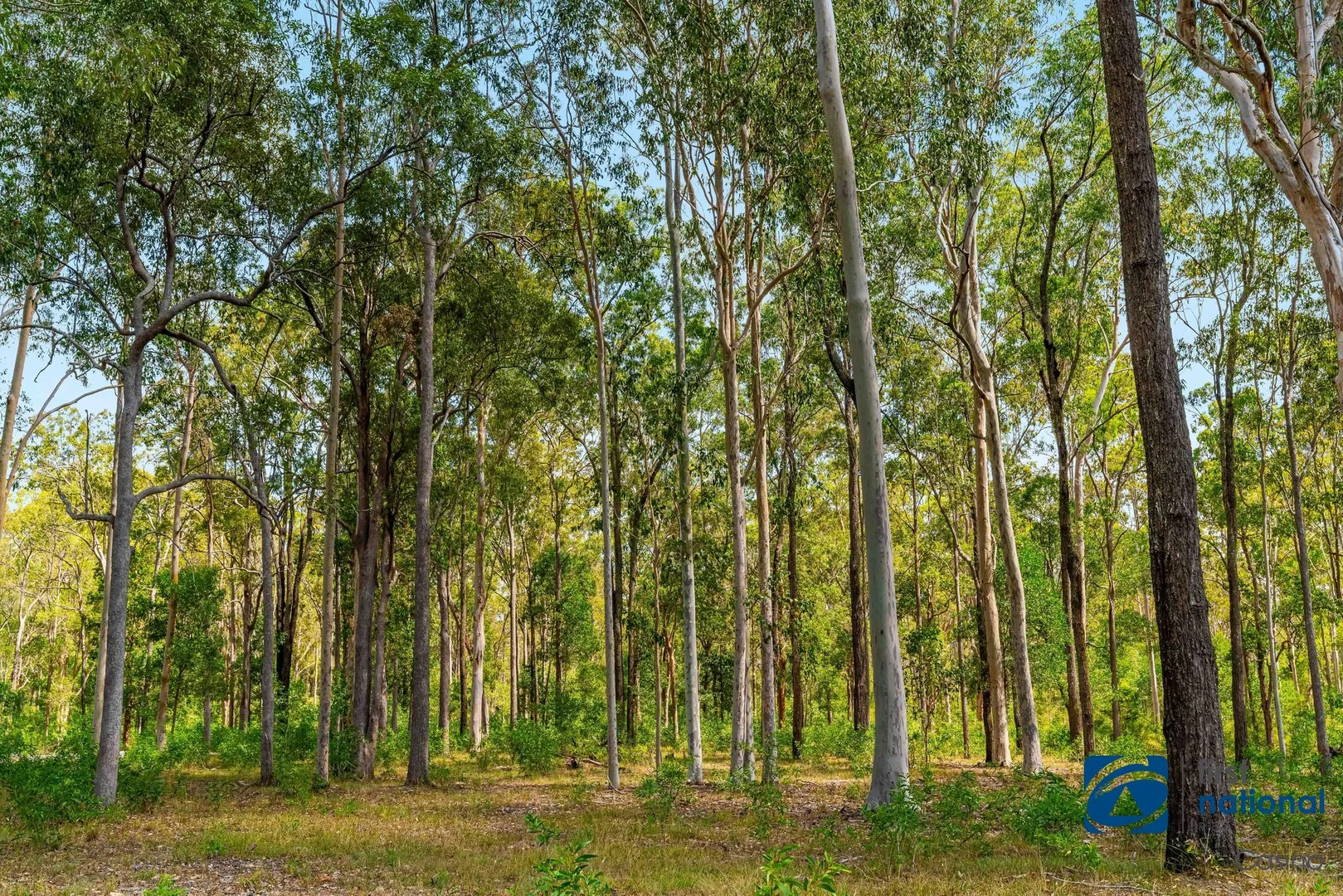 Additional image 25 of 541 Tatham Ellangowan Road, Tatham NSW 2471