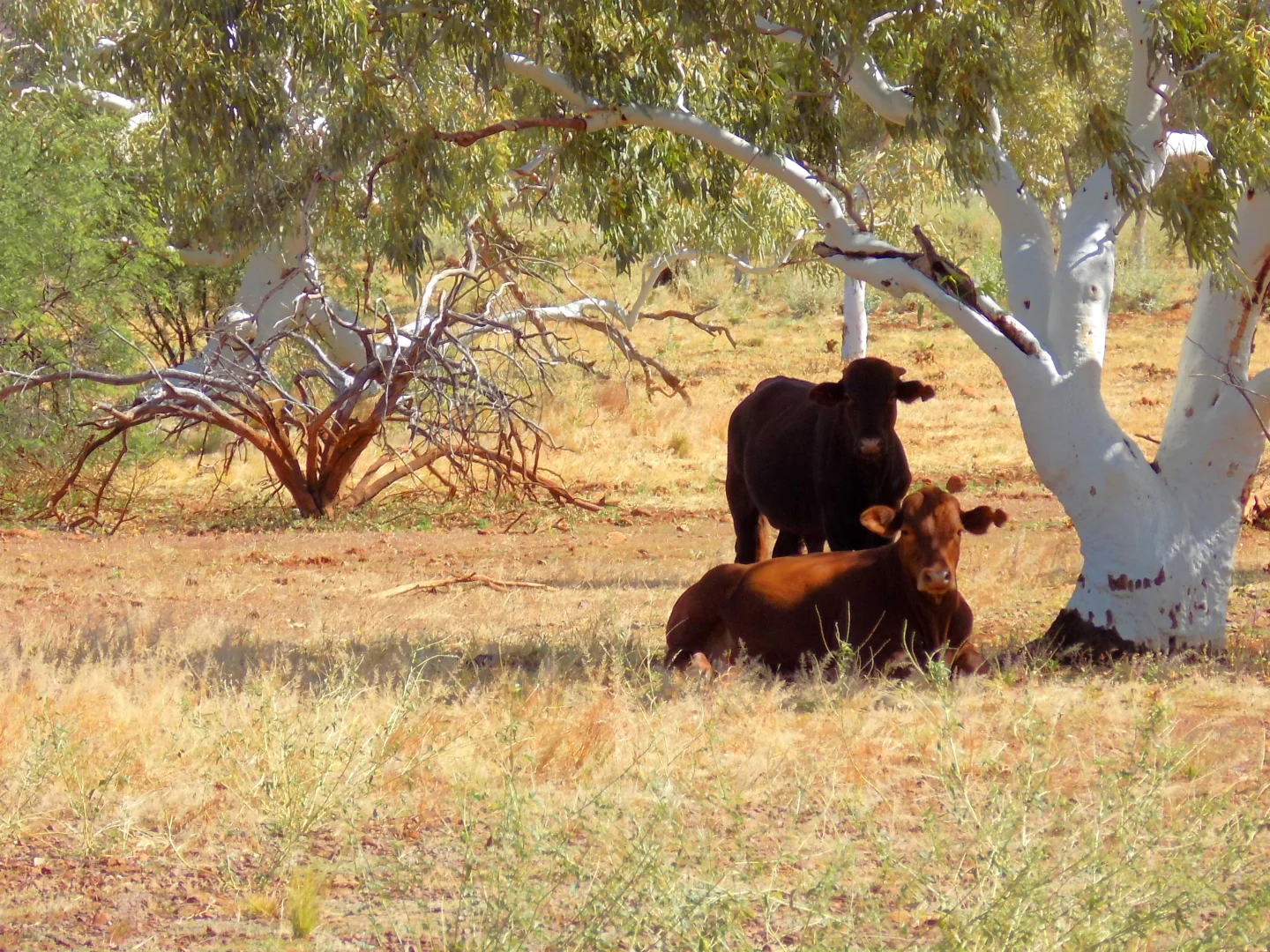 Additional image 3 of West Lyons River WA 6705