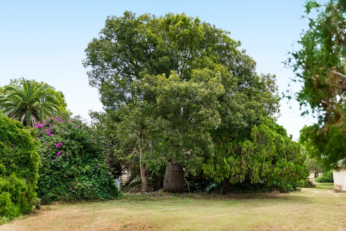 Additional image 13 of 2347 Gore Highway, Southbrook QLD 4363