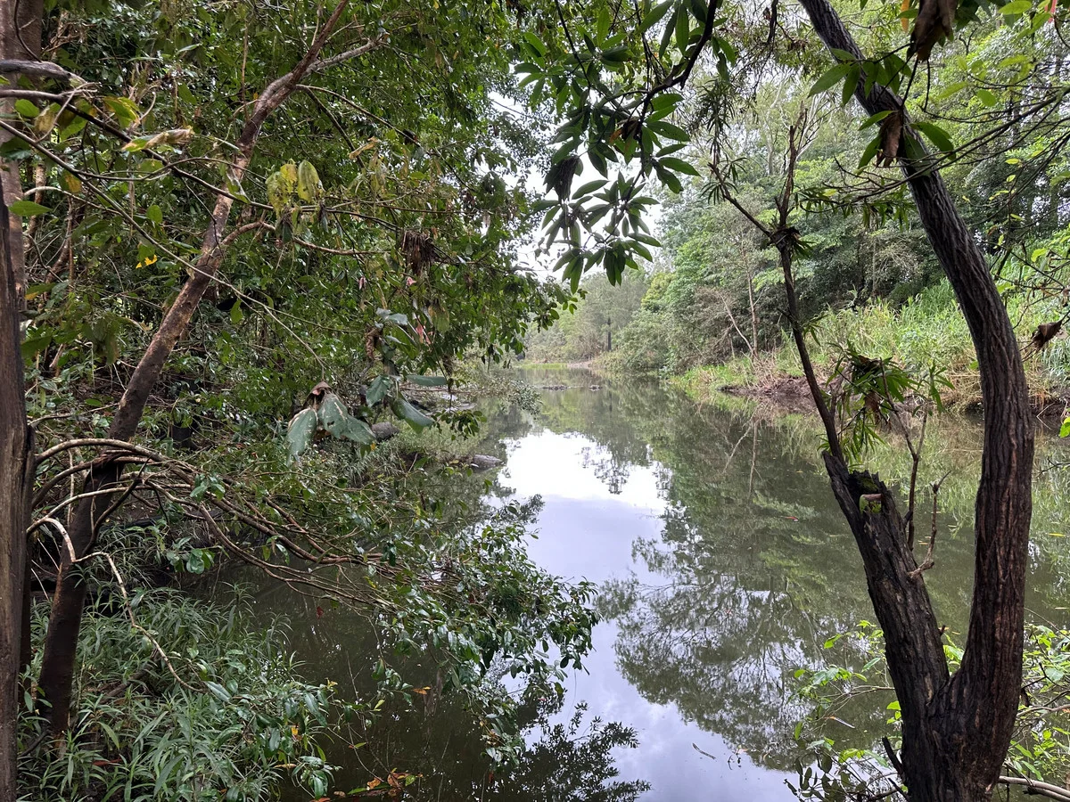 Additional image 11 of 38 Bella Road, Sarina QLD 4737