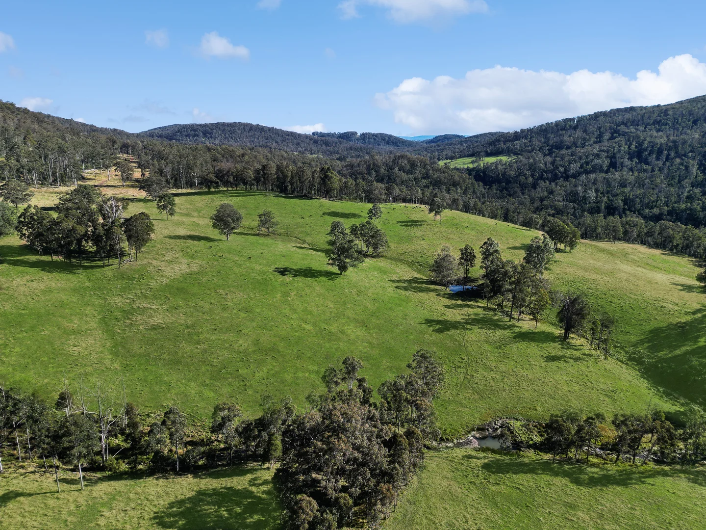 Additional image 22 of Nowendoc NSW 2354