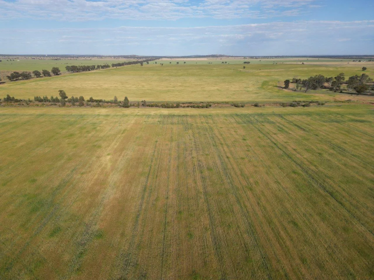 Additional image 11 of 'Cleveland' 548 Cunningtons Lane, West Wyalong NSW 2671