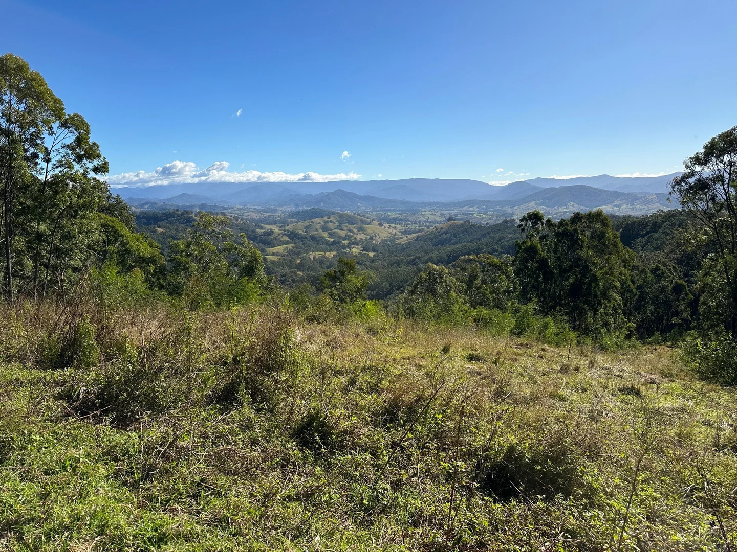 Additional image 9 of 129 Quartpot Creek Road, Dungog NSW 2420