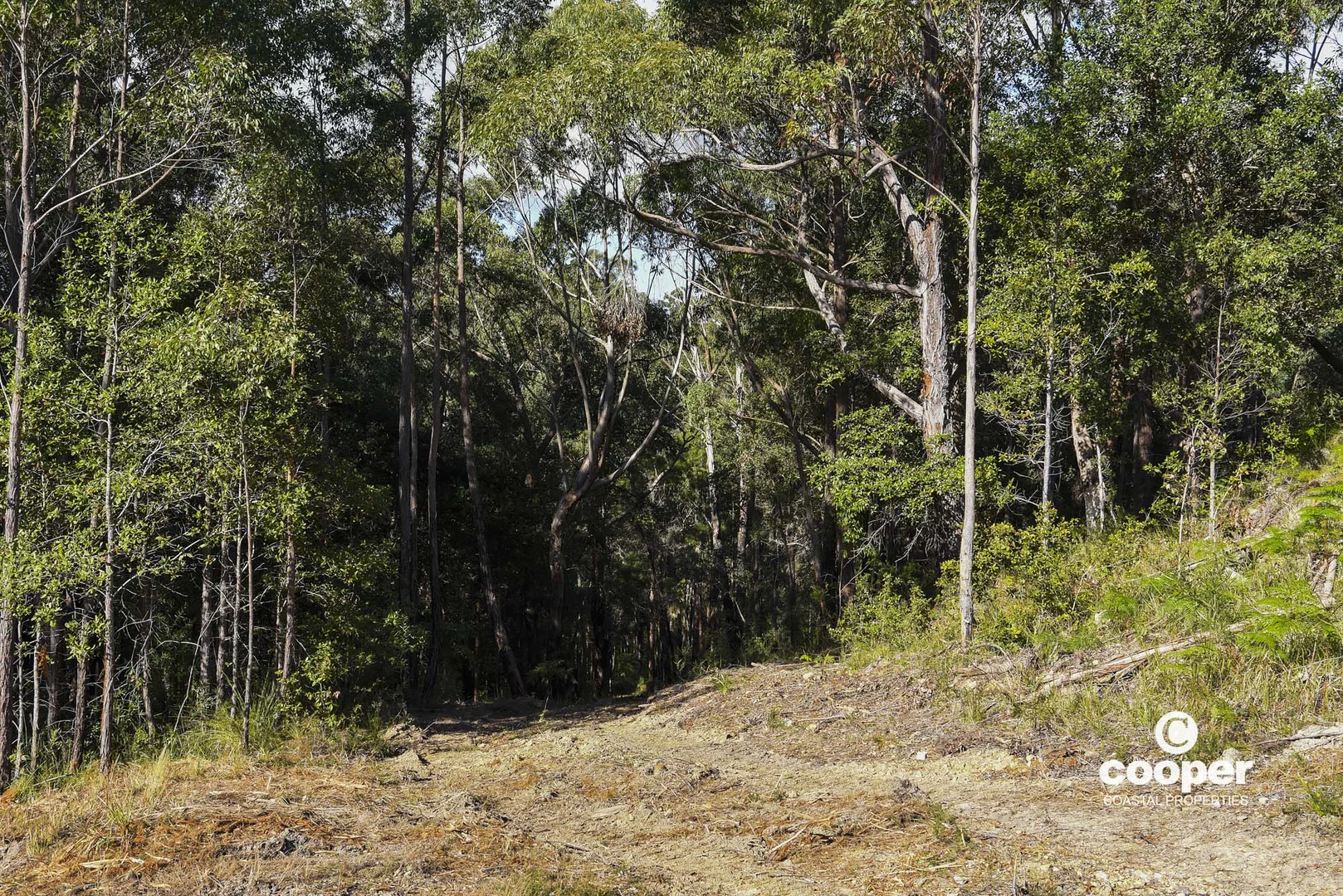 Additional image 9 of 56A Kingiman Road, Woodburn NSW 2538