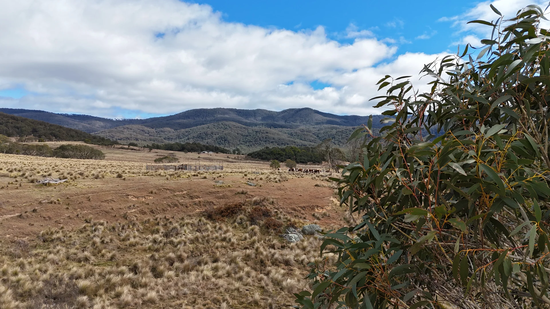 Additional image 5 of 102 Kain Cross Road, Braidwood NSW 2622