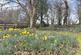 Additional image 17 of Bathpool, Cornwall PL15