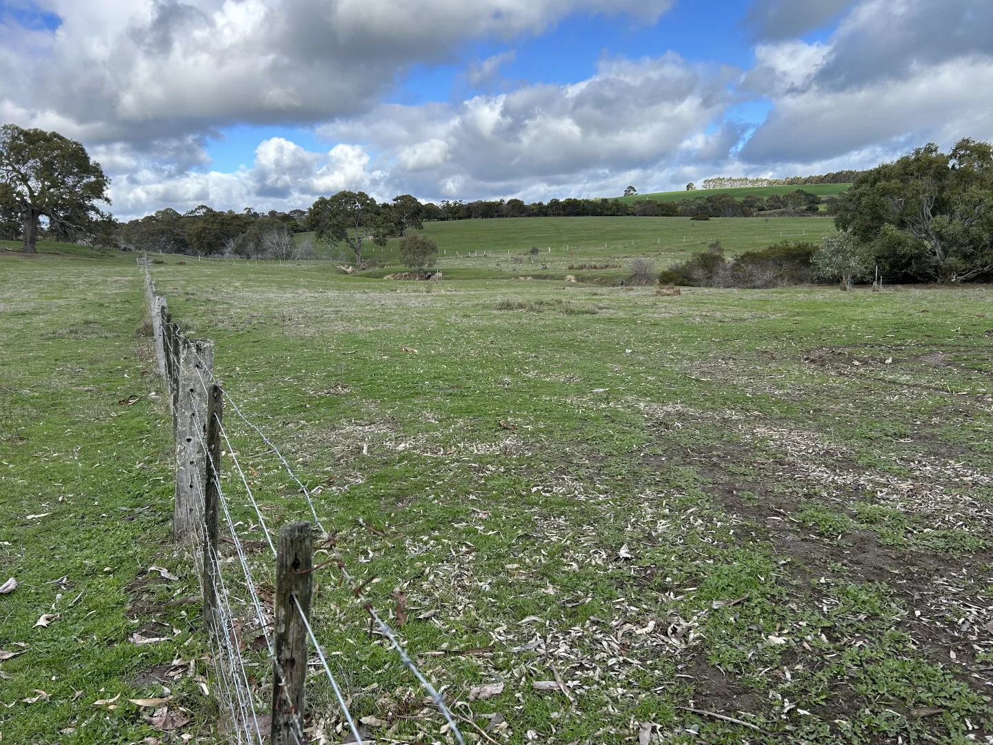 Additional image 18 of 20-38 & 35 Brady street, Glenthompson VIC 3293