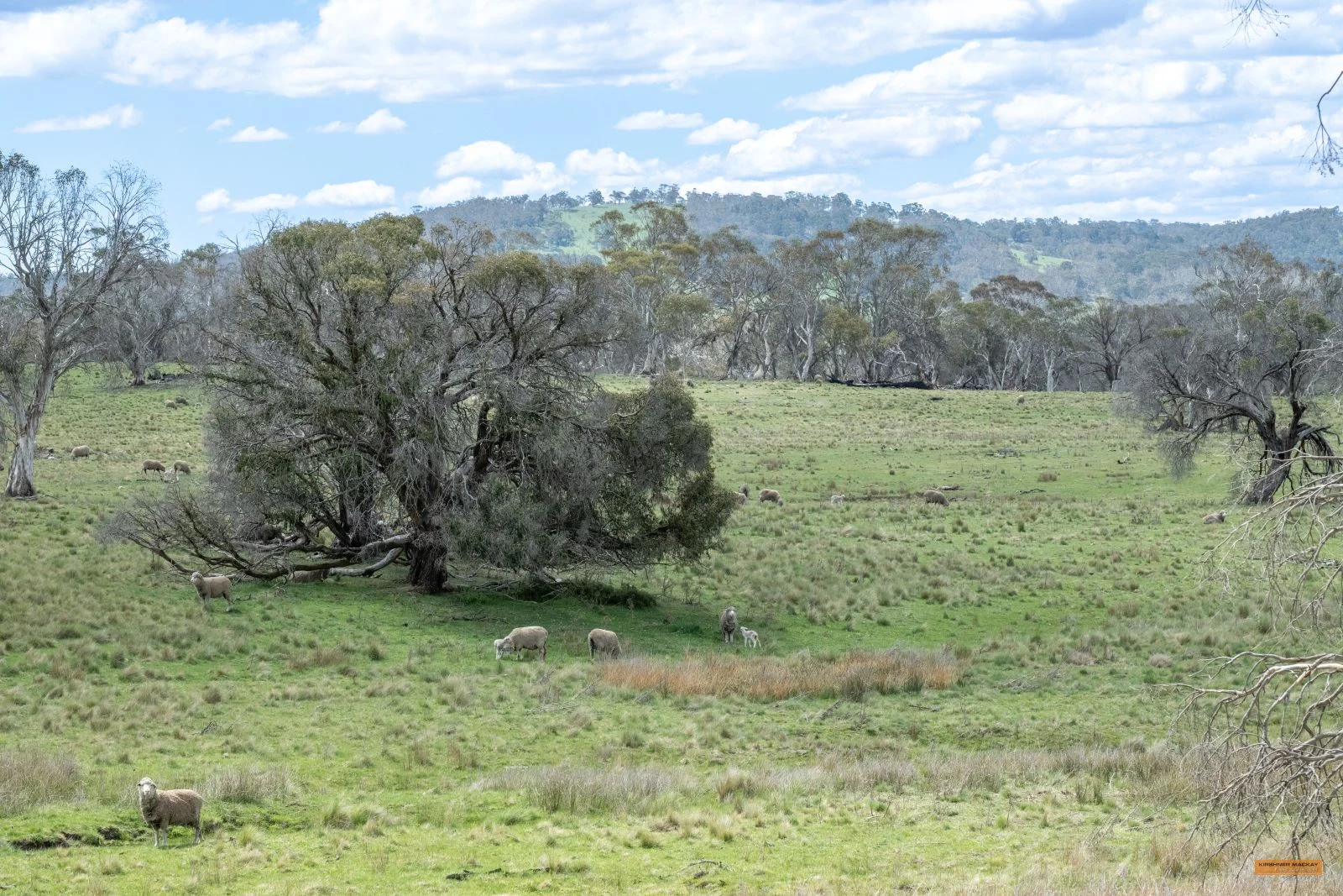 Additional image 24 of Lot 6 Avonside Road, Avonside NSW 2628