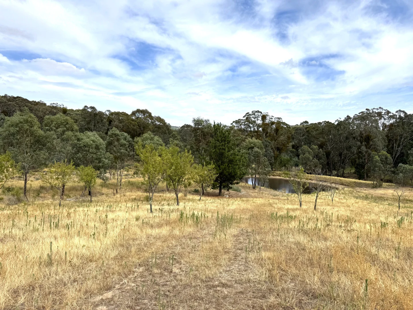 Additional image 3 of 848 Kentucky Road, Neville NSW 2799