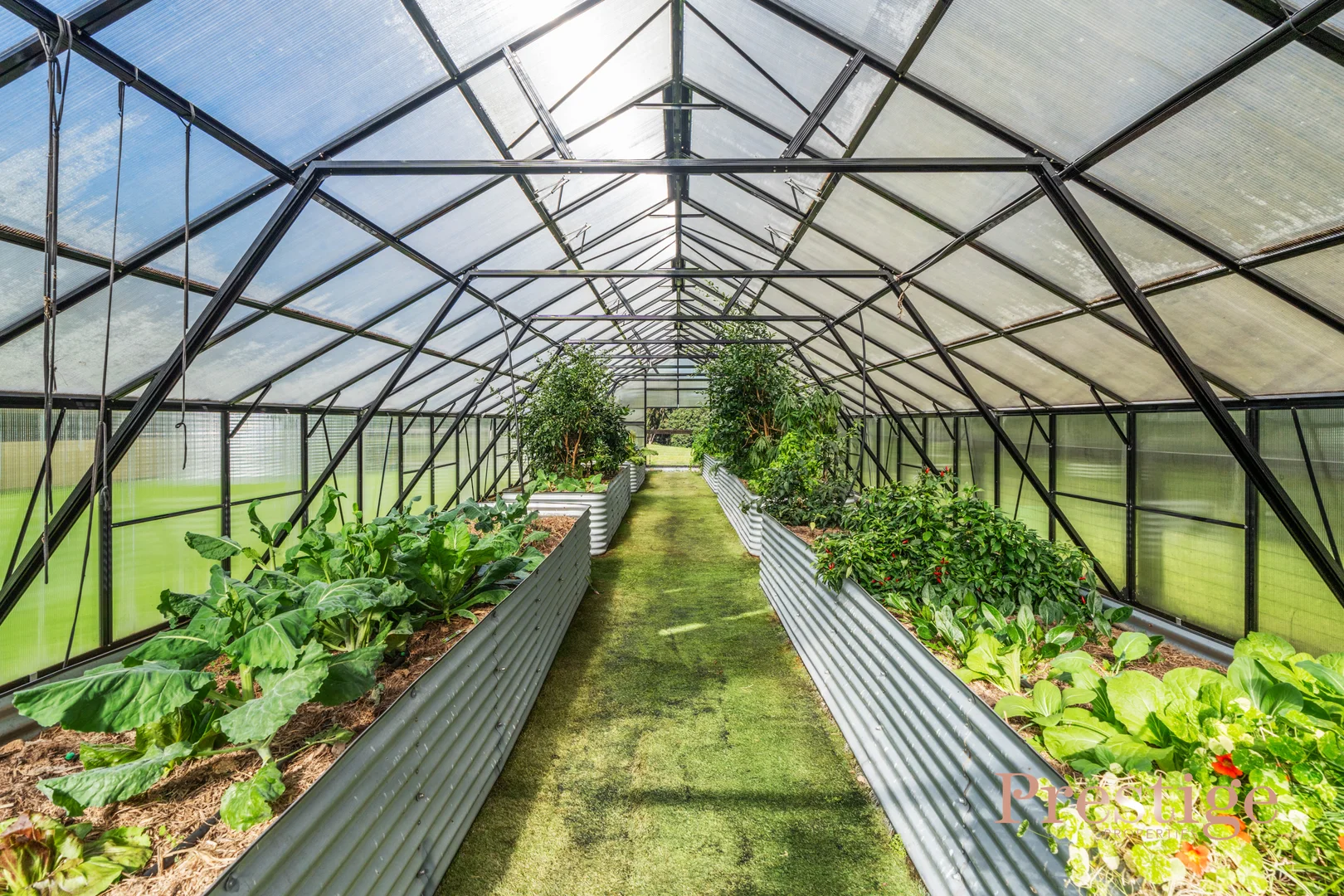 Additional image 21 of 53 Lees Lane, Tumbi Umbi NSW 2261