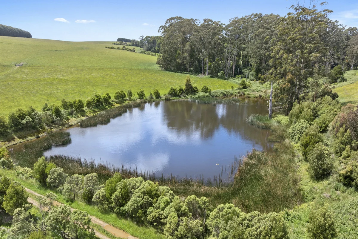 Additional image 10 of 4230 Colac-Lavers Hill Road, Weeaproinah VIC 3237