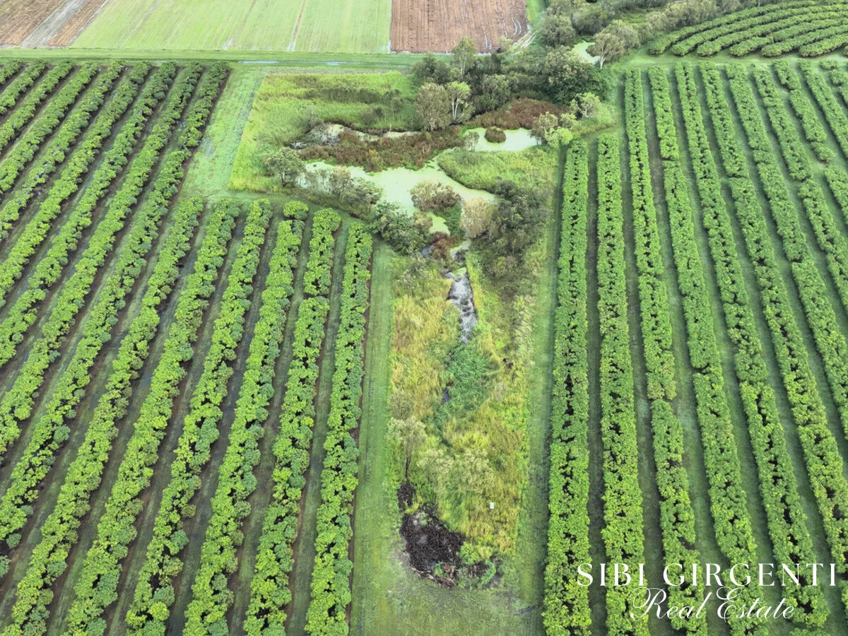 Additional image 9 of 263/71 Gilmore Road, Mareeba QLD 4880