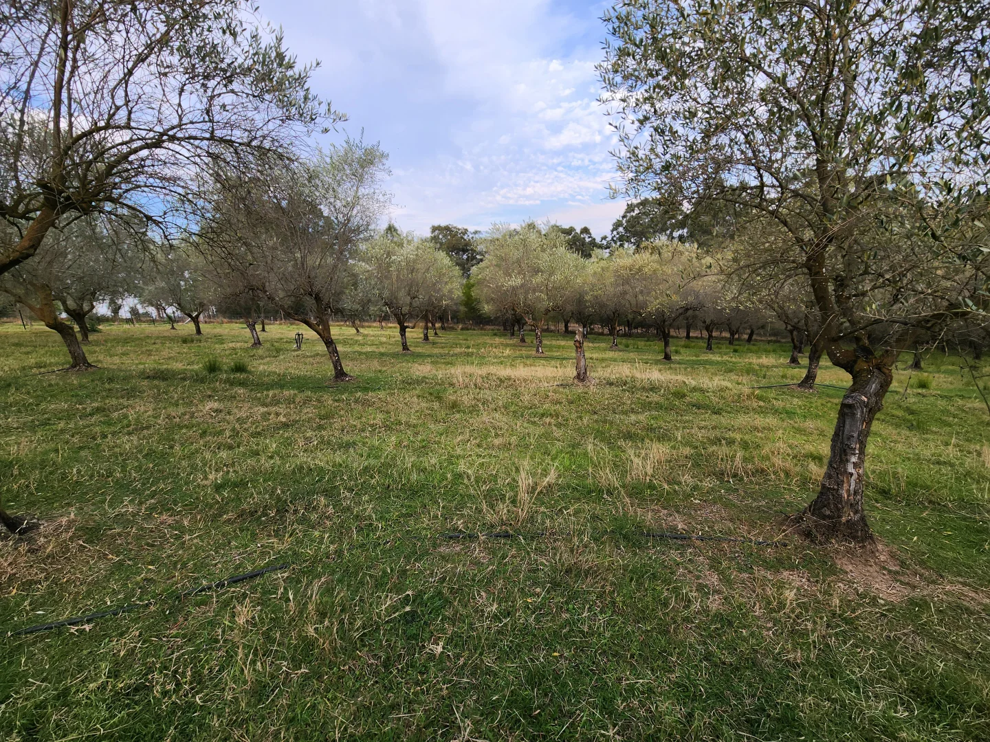 Additional image 46 of 100 Eltons Road, Silverdale NSW 2752