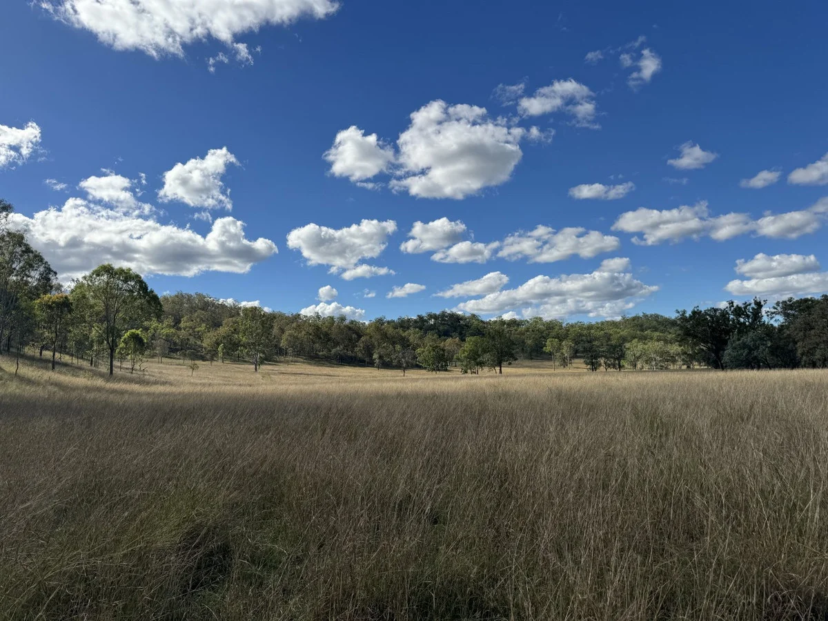 Additional image 15 of 186 Mungungo Creek Road, Monto QLD 4630