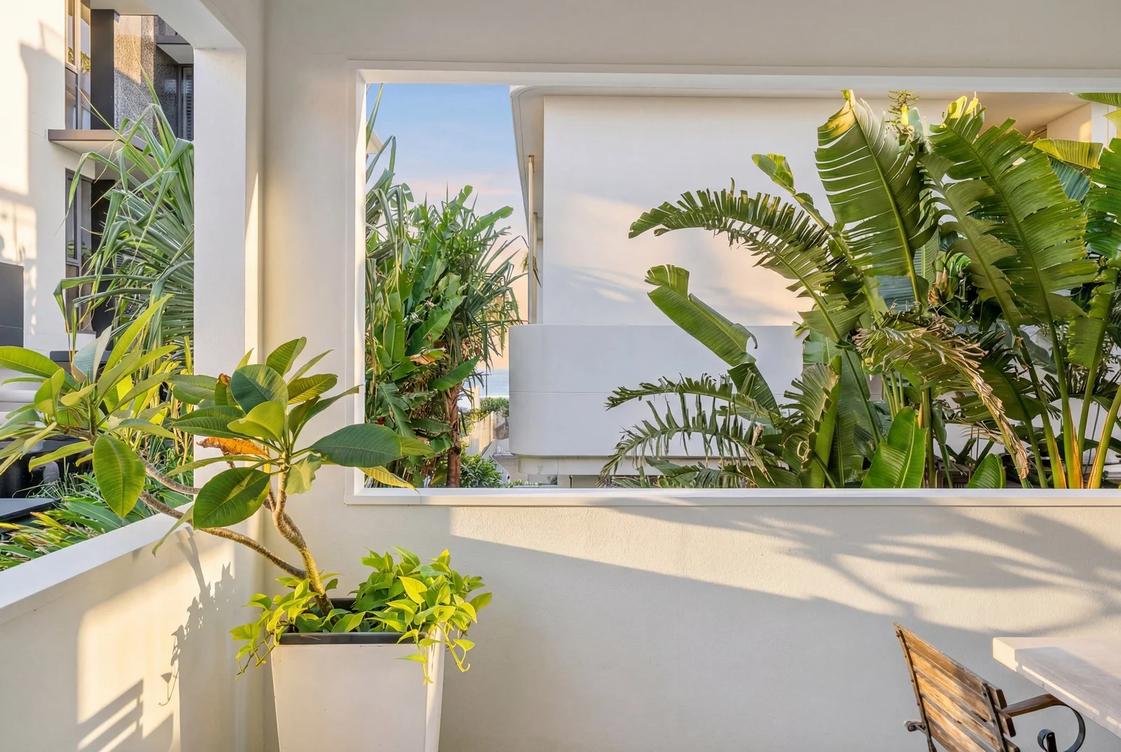 Additional image 7 of 2/1433 Gold Coast Highway, Palm Beach QLD 4221