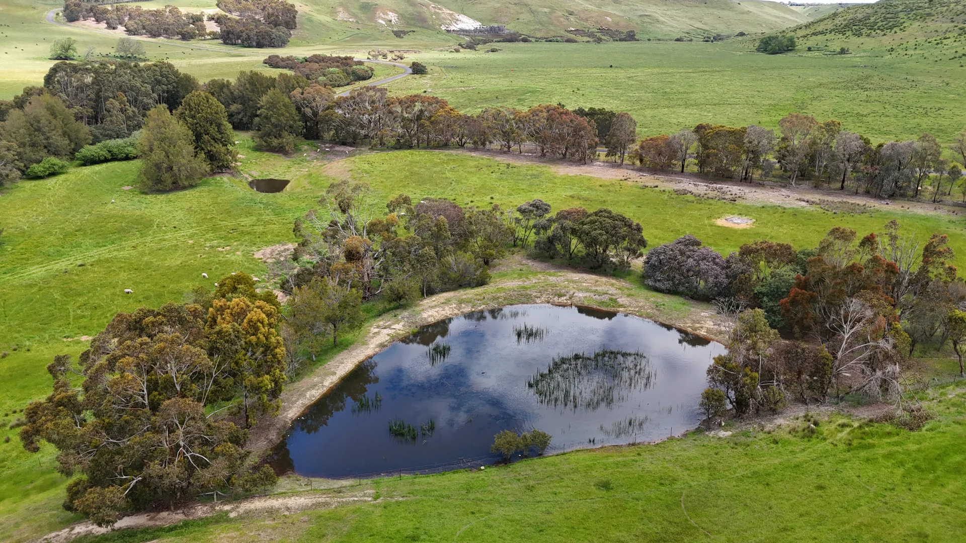 Additional image 18 of 1329 Egerton-Ballark Road, Bungal VIC 3334