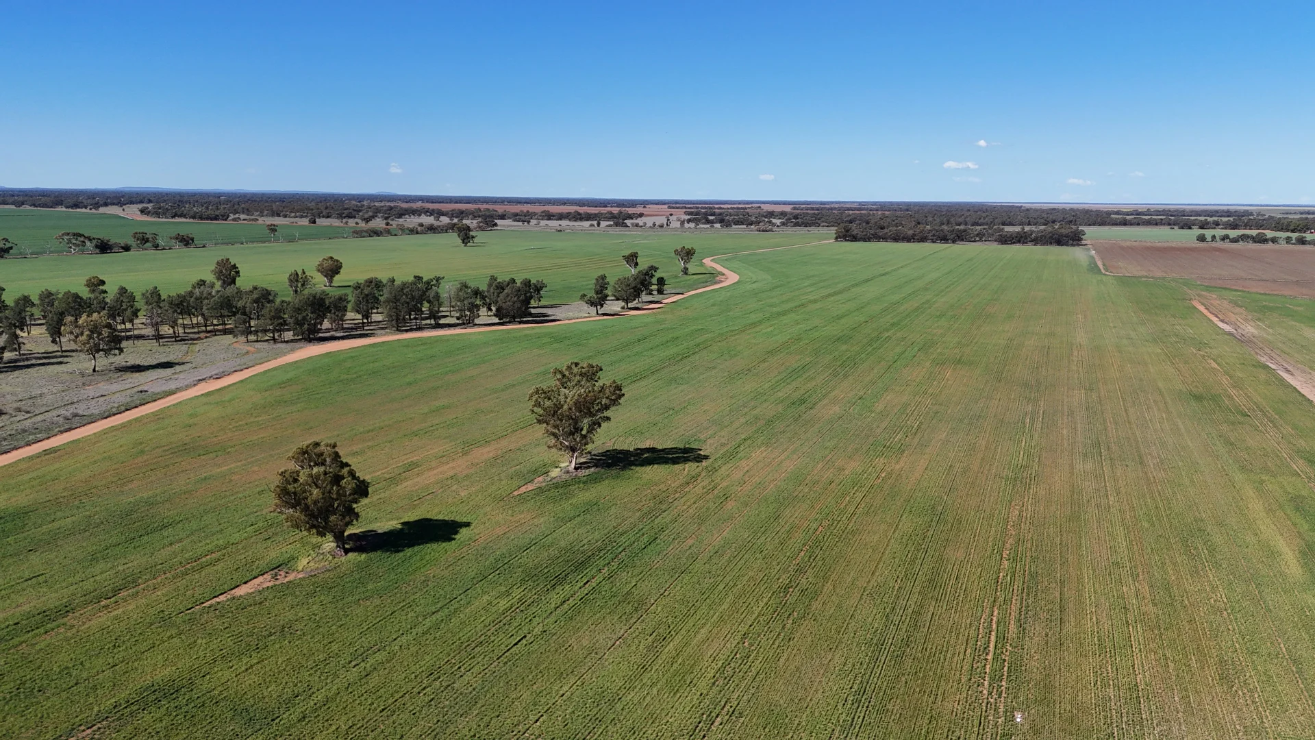 Additional image 7 of Farm 25/1354 Main Canal Road, Coleambally NSW 2707