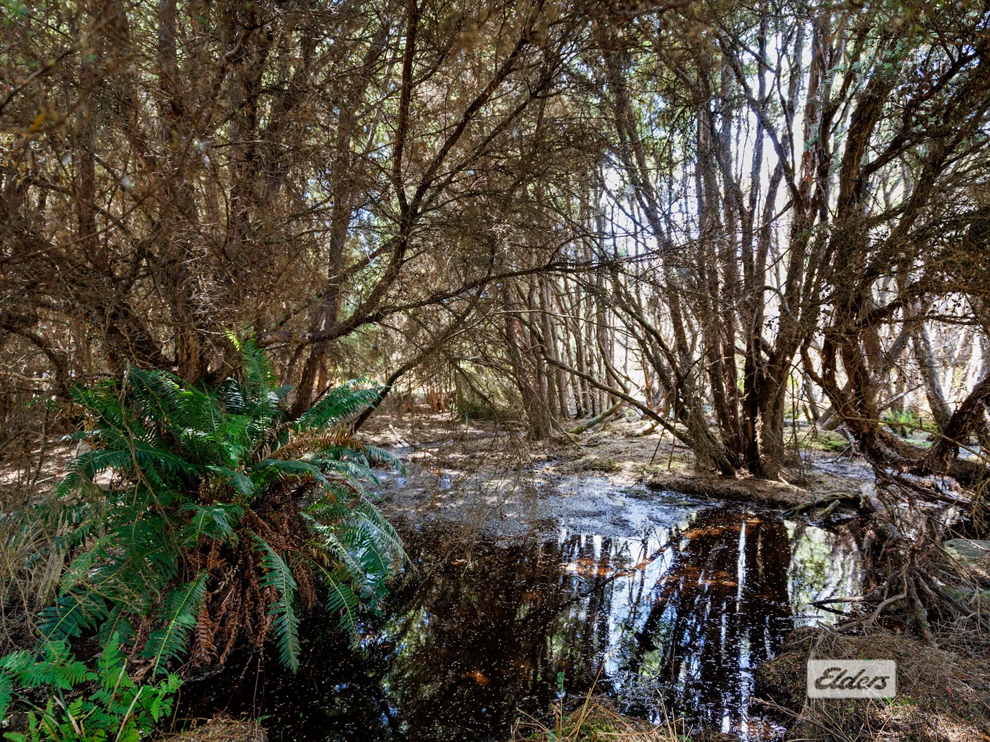 Additional image 5 of 1 Applebys Road, Upper Natone TAS 7321