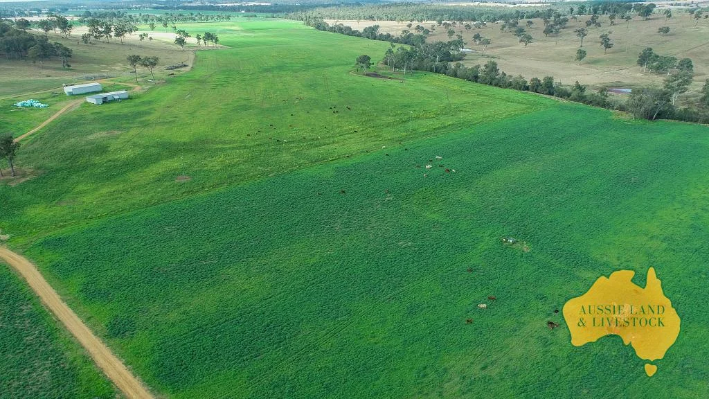 Additional image 69 of 250 Heights Road, Nanango QLD 4615
