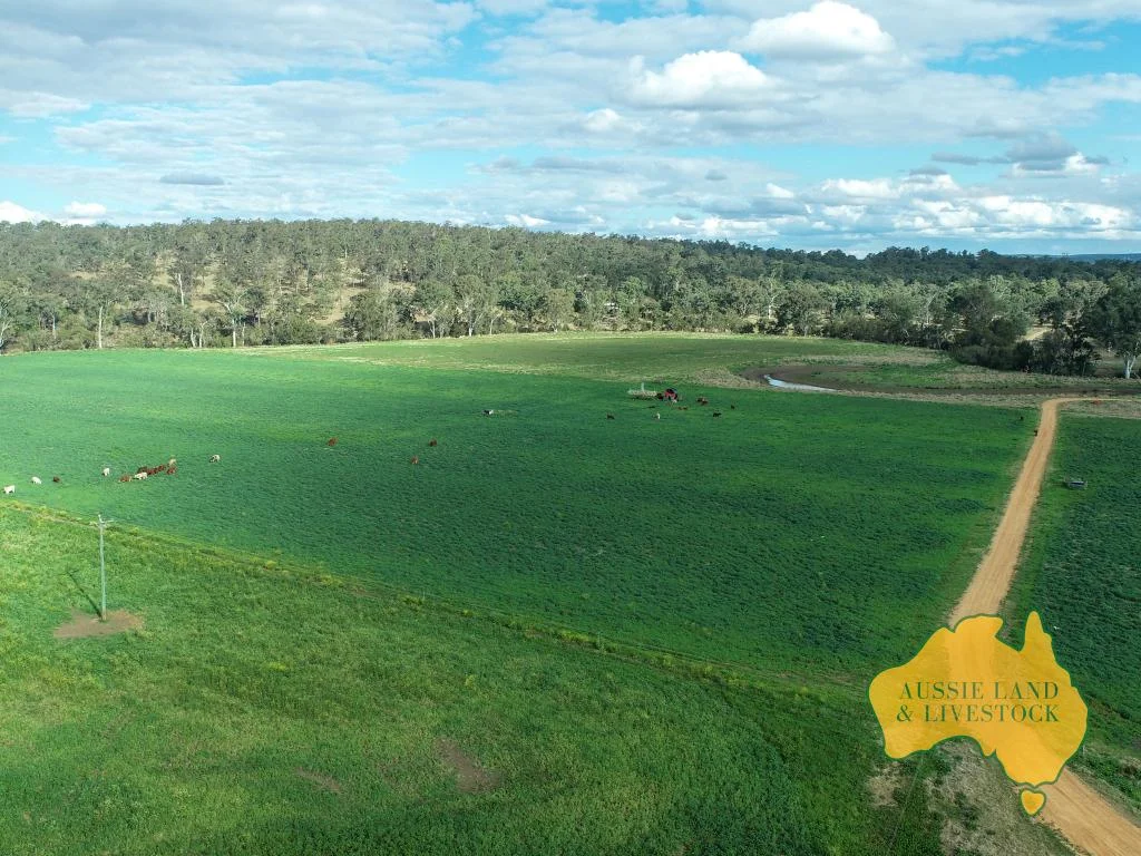 Additional image 64 of 250 Heights Road, Nanango QLD 4615