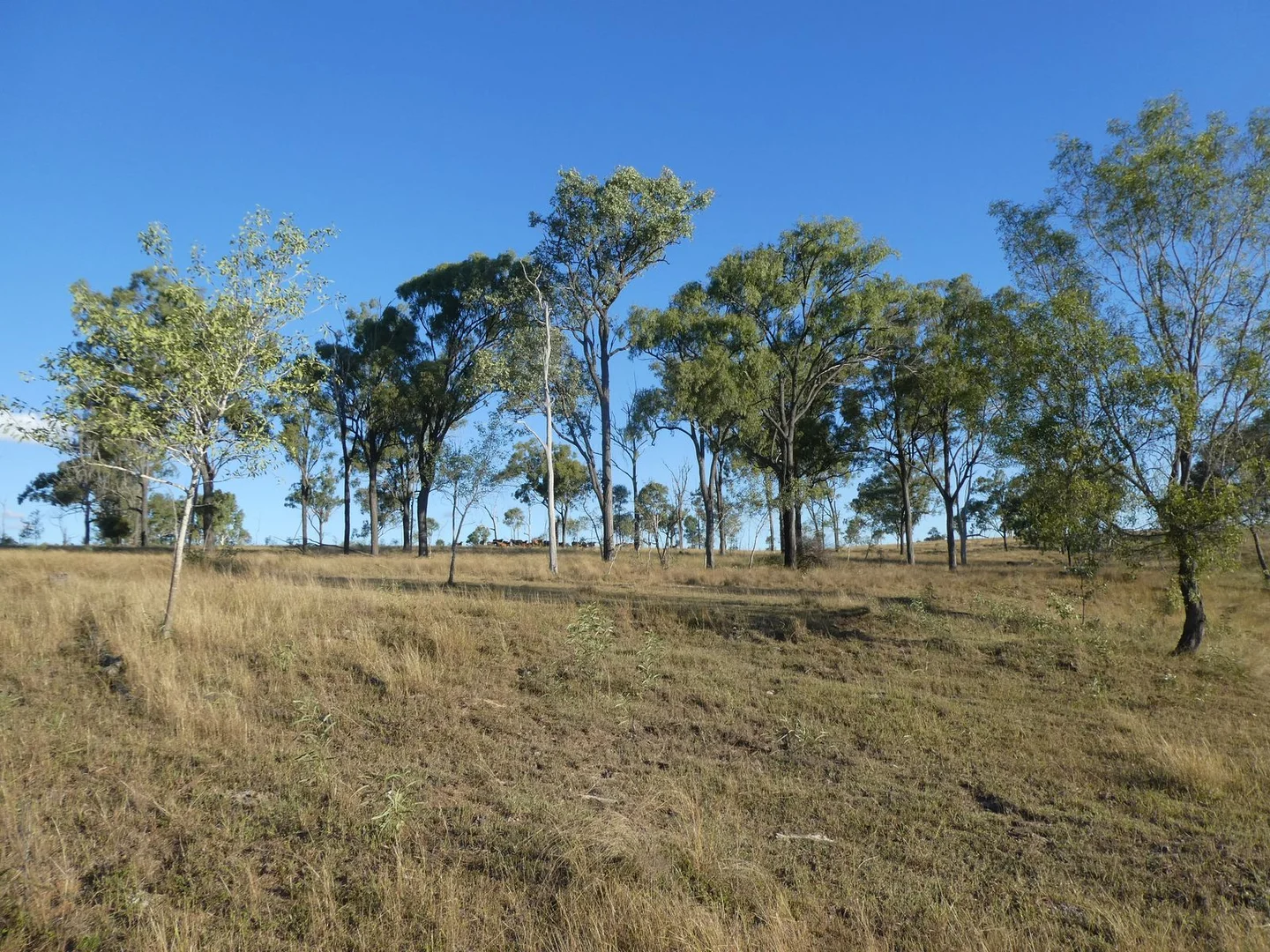 Additional image 27 of Lot 24 Gayndah Mount Perry Road, Mount Steadman QLD 4625