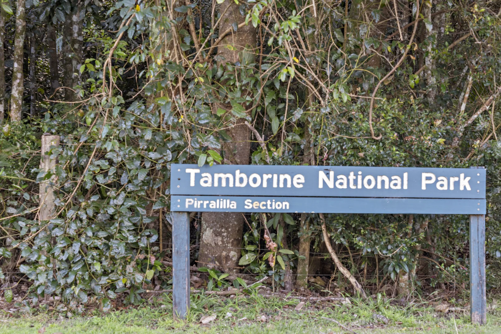 Additional image 9 of 28 Southport Avenue, Tamborine Mountain QLD 4272