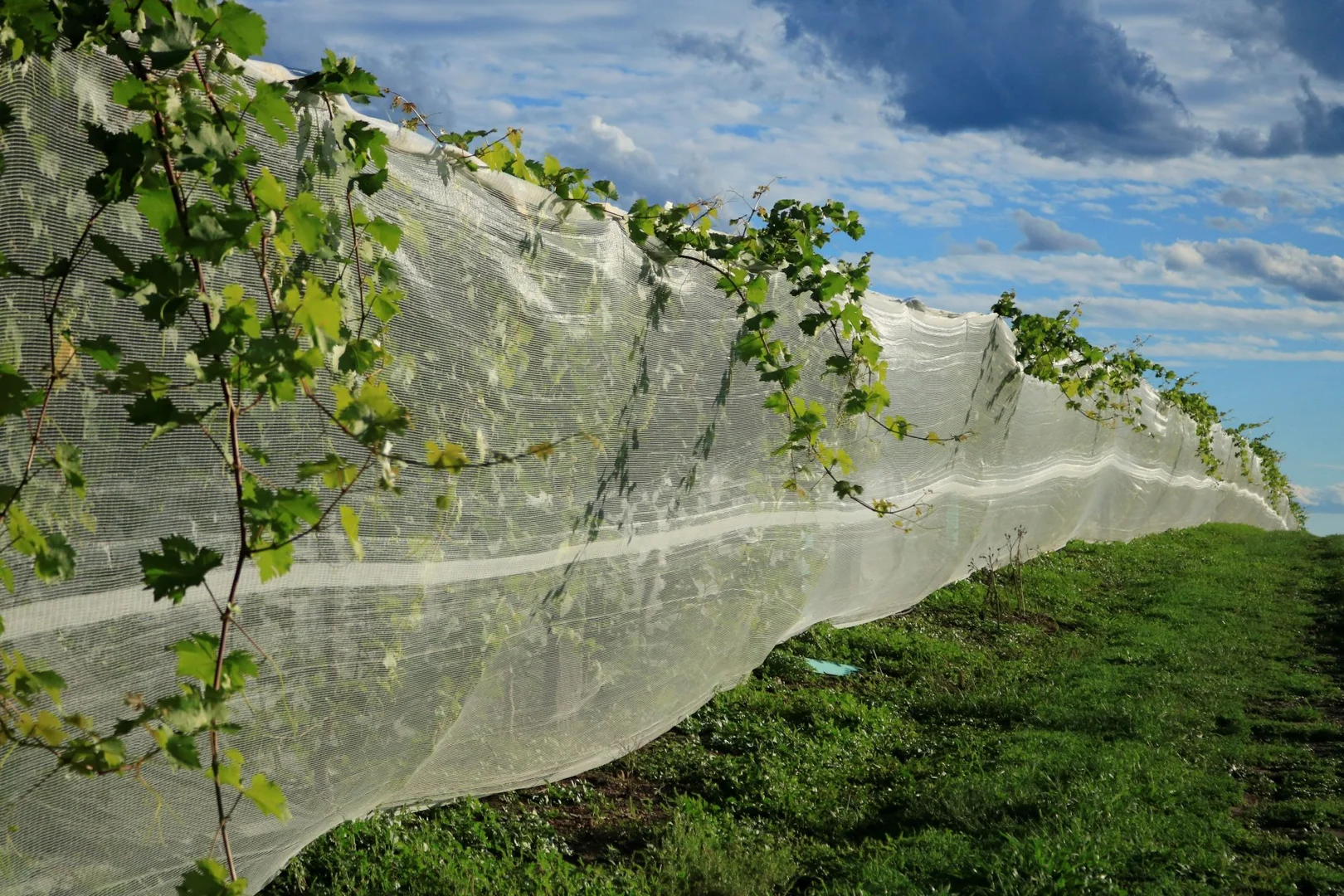 Additional image 3 of 700 Coonambula Road,, Riverleigh QLD 4626