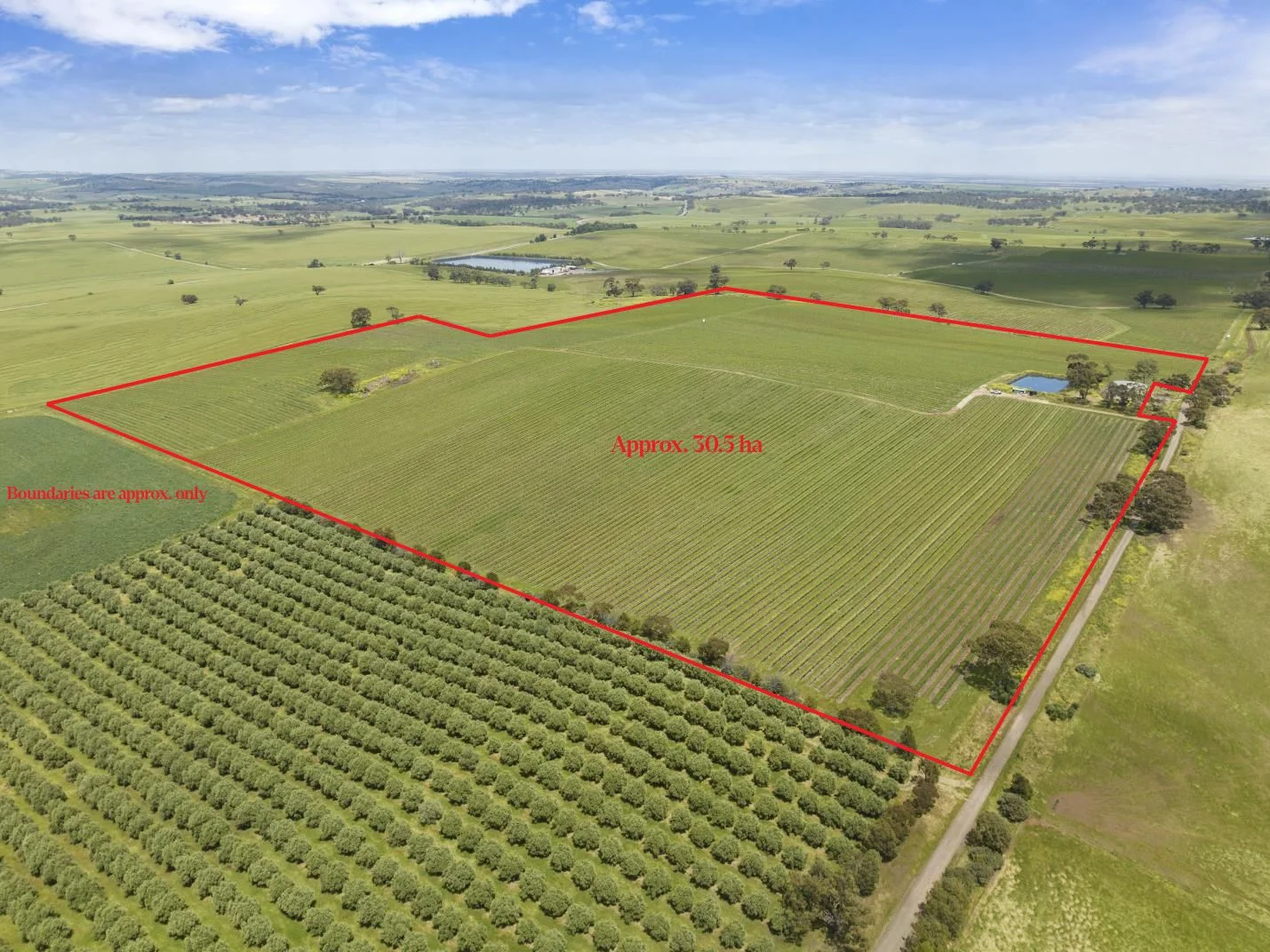 Additional image 13 of Lot 54 Tank Road, Auburn SA 5451