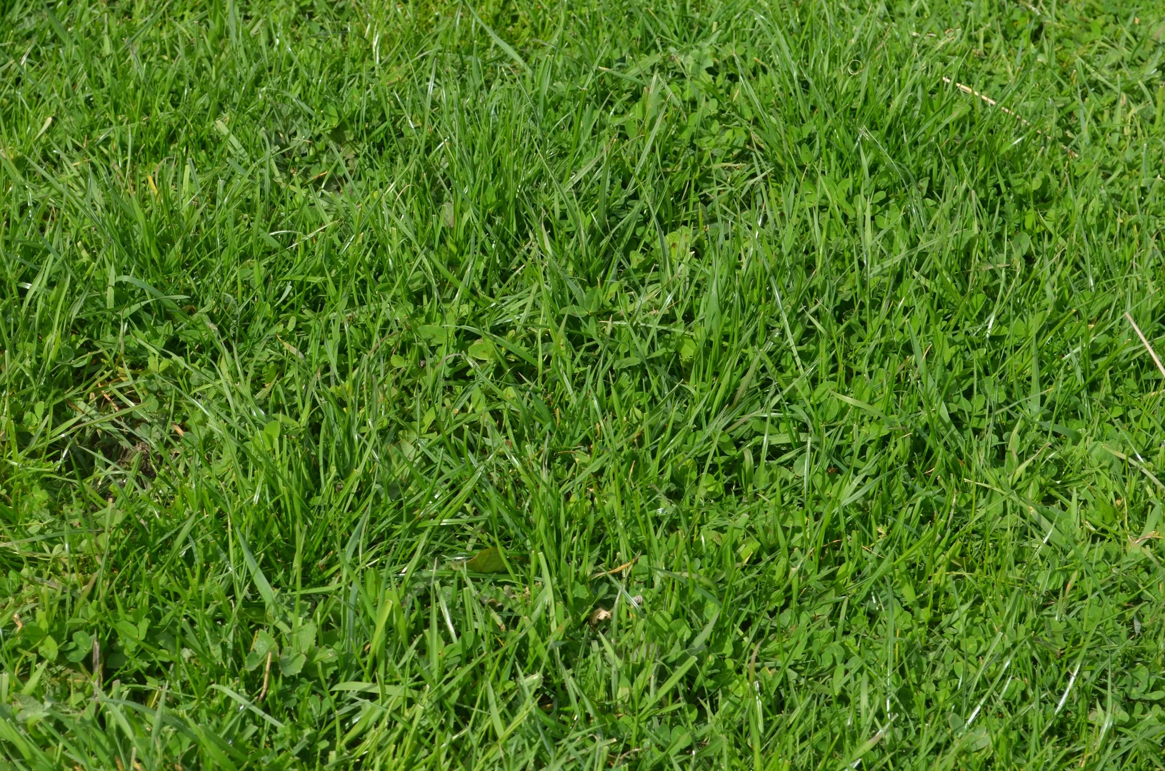 Additional image 7 of 1805 Manga Road, Kalangadoo SA 5278