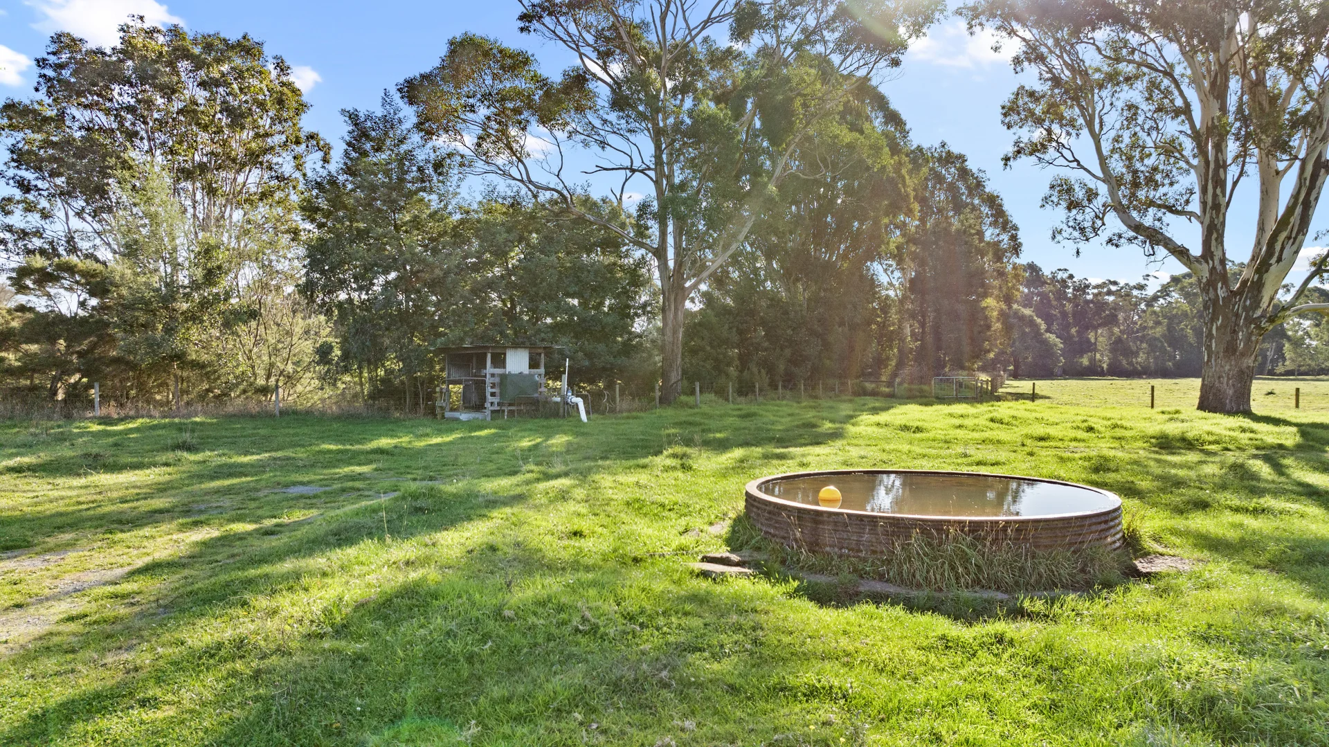 Additional image 23 of 596 Settlement Road, Kilmany VIC 3851