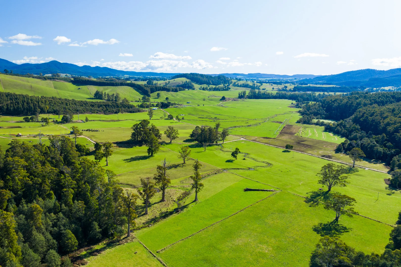 Additional image 27 of Alberton TAS 7263