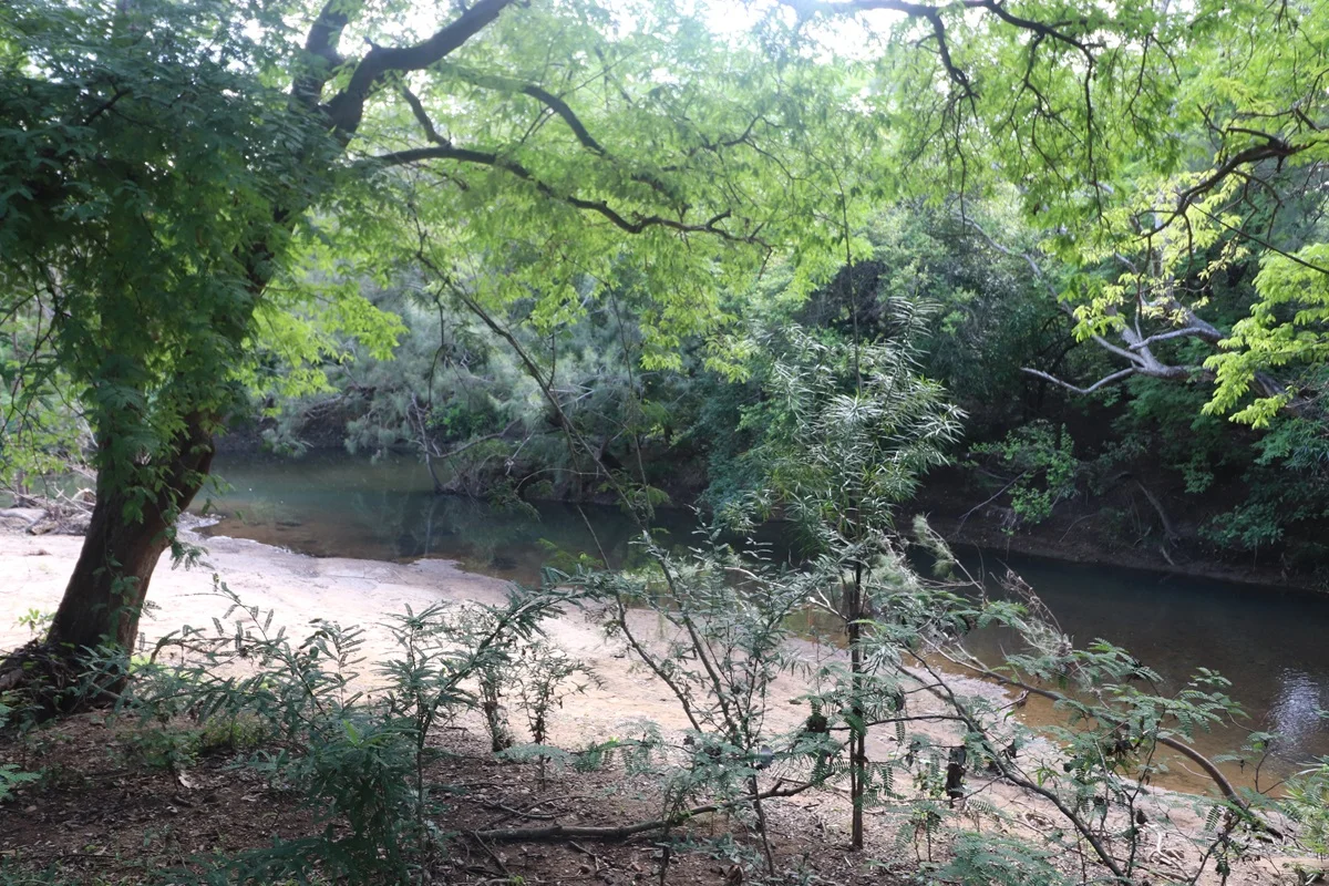 Additional image 10 of 62 Bougainville Street, Roseneath QLD 4811