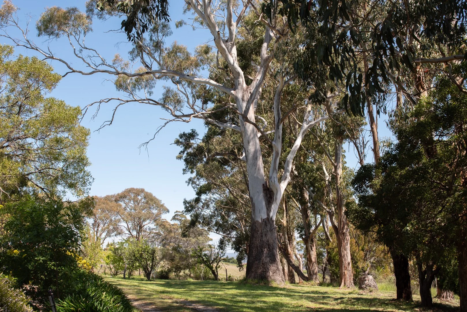 Additional image 14 of 40577 Tasman Highway, St Leonards TAS 7250