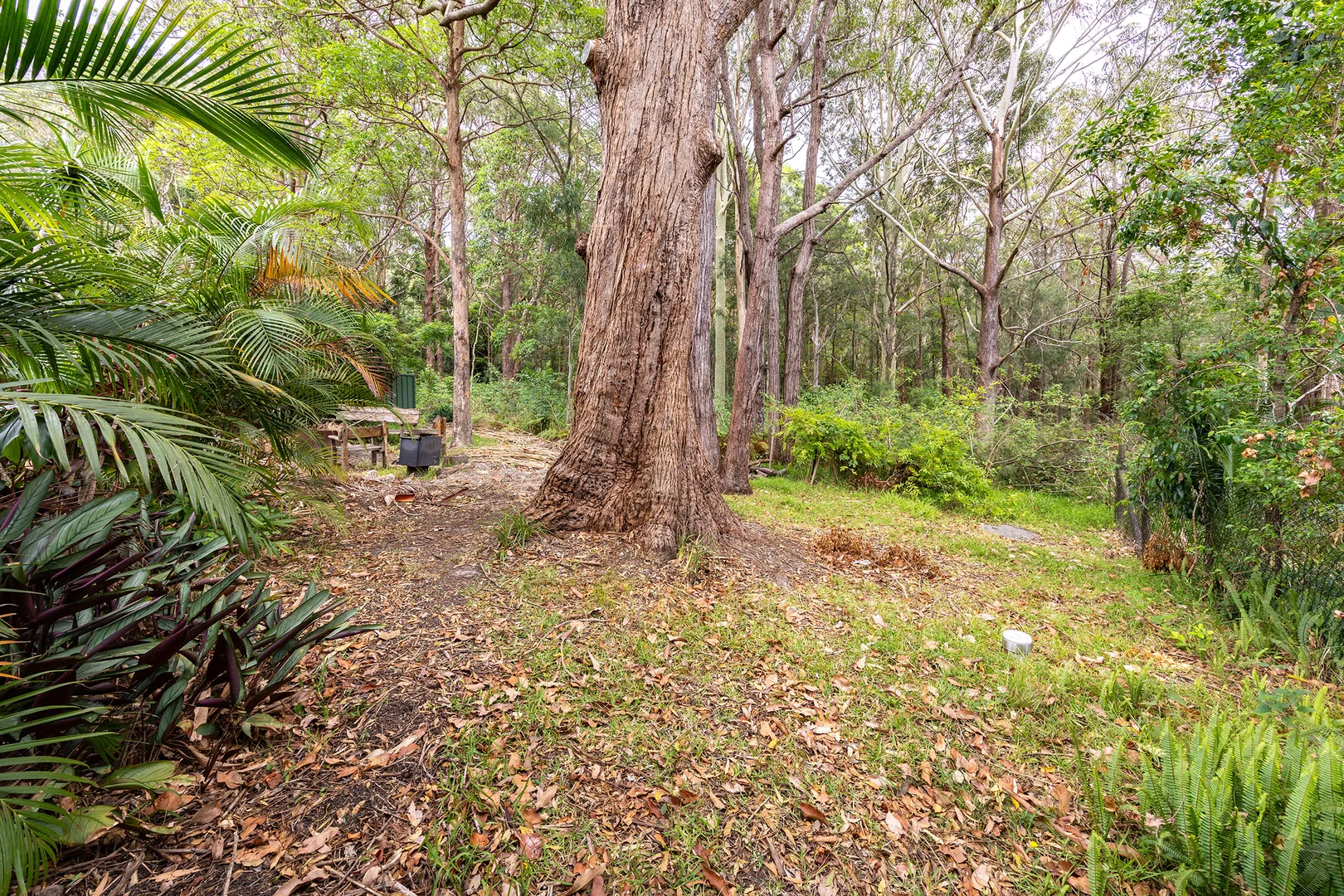 Additional image 27 of 25 Tropic Gardens Drive, Smiths Lake NSW 2428