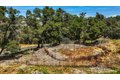 Additional image 62 of 9574 Highway 49, Mokelumne Hill, CA, 95245