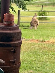 Additional image 18 of 2-12 Palomino Road, Tamborine QLD 4270