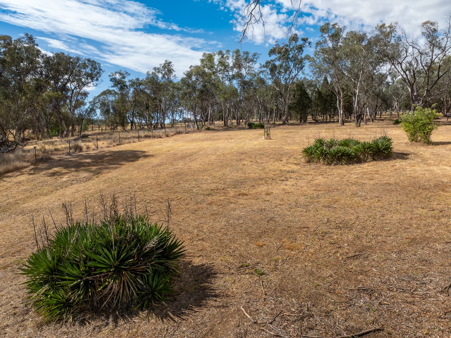 Additional image 8 of 328 Pinecliffe Road, Molong NSW 2866